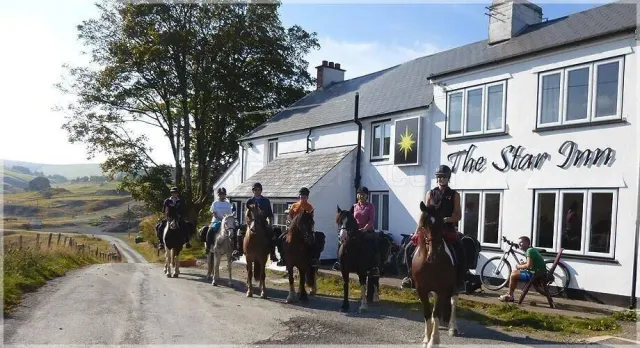 Freerein Riding Holidays website