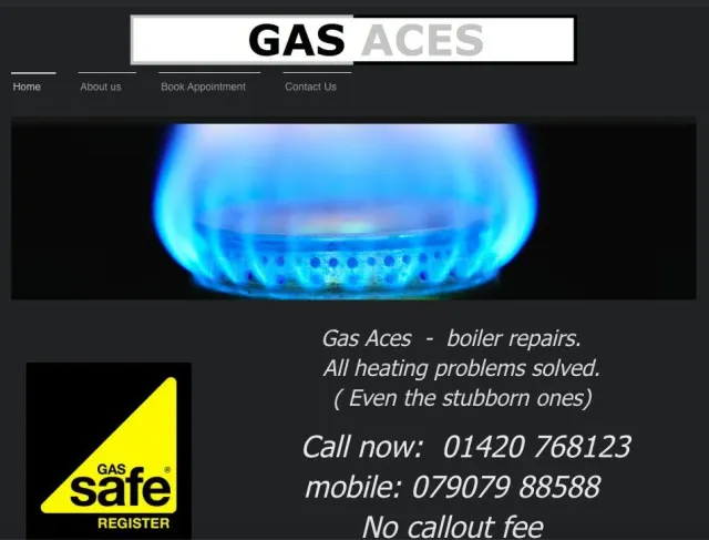 Gas Aces website