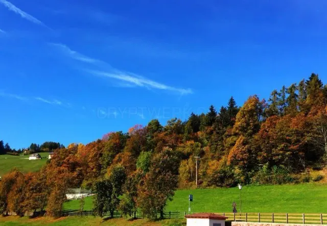 Gasthaus Bachmann website