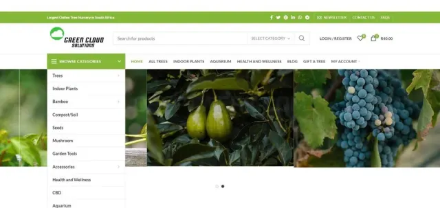 Green Cloud Solutions website