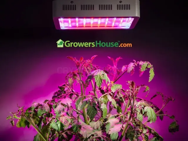 GrowersHouse website