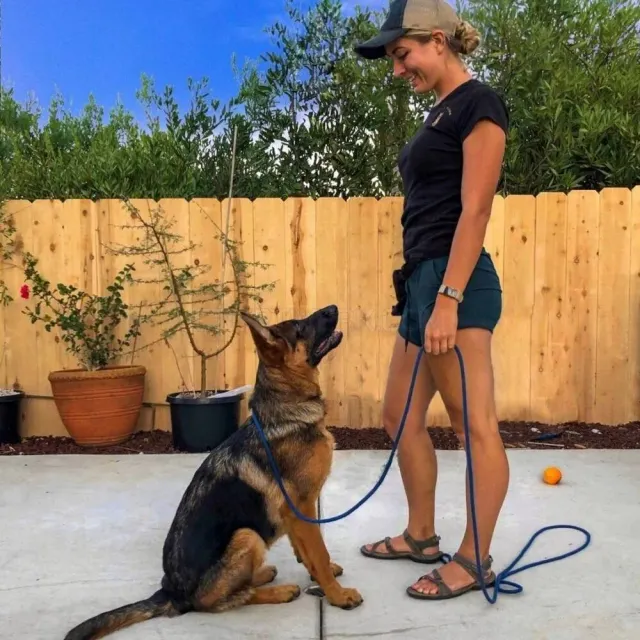 Happy Dog Training website