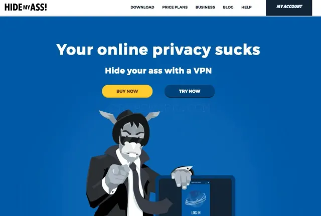 HideMyAss website