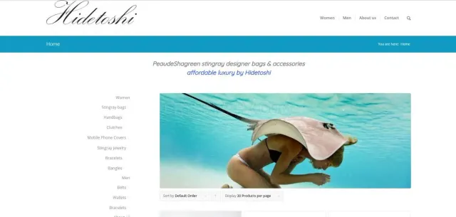 Hidetoshi website