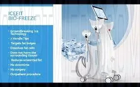 IceFit Studio website