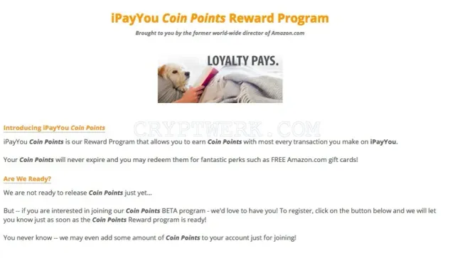 iPayYou website