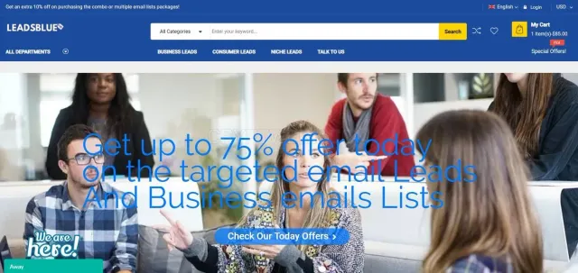 LeadsBlue website