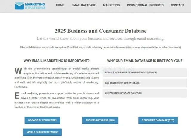 Marketing Strategies Ltd website