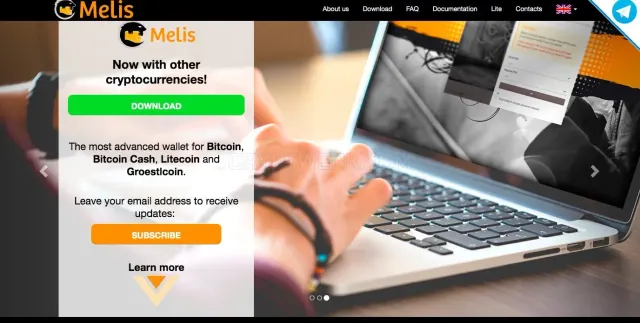 Melis wallet website