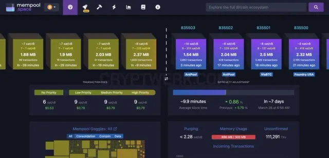 mempool Space website