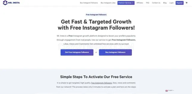 Mr. Insta website