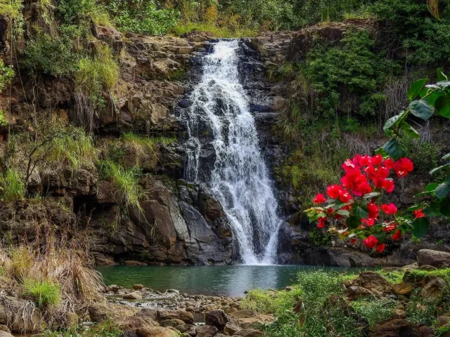 Oahu Photography Tours website