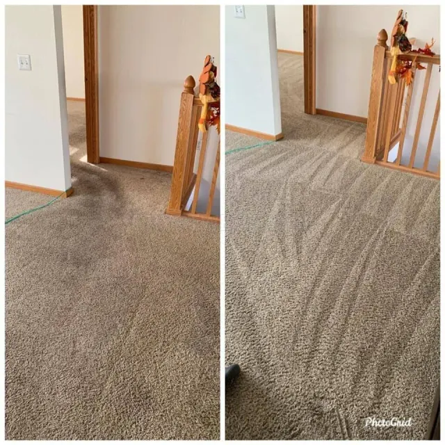 Odyssey Carpet Cleaning website
