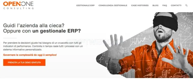 Open One Consulting website