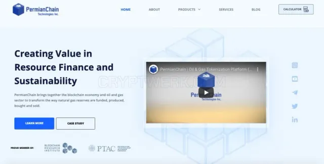 PermianChain Technologies Inc. website