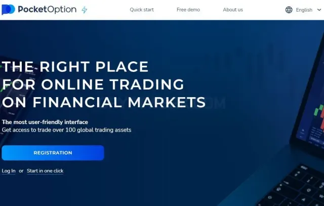 Pocket Option website