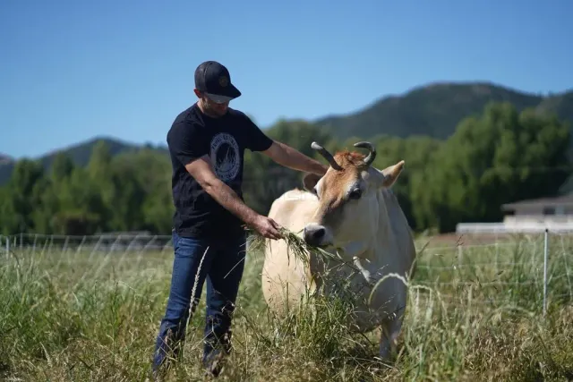 Primal Pastures website