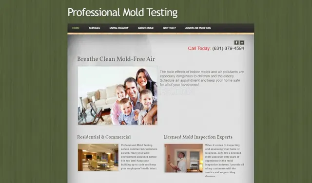 Professionalmoldtesting.com website