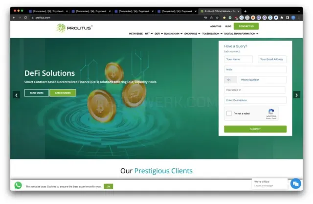 Prolitus Technology Pvt website