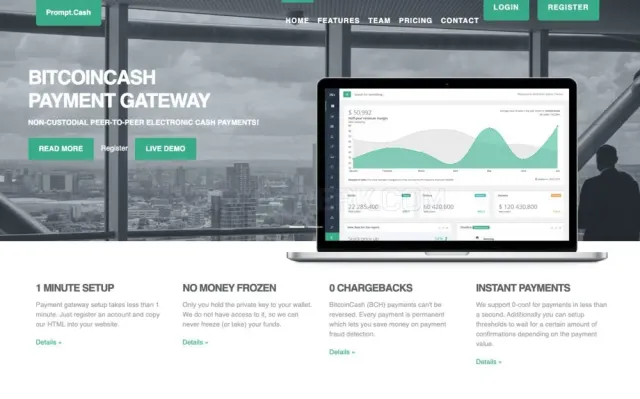 Prompt.cash website