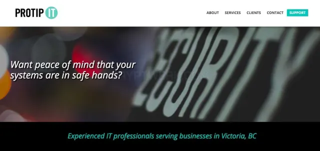 Protip IT Services website