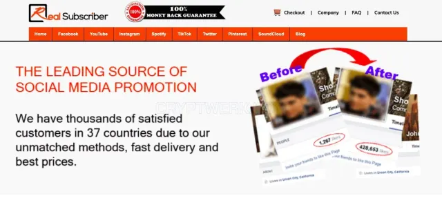 RealSubscriber website