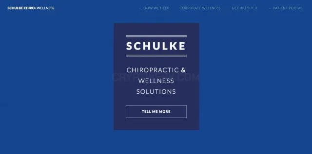 Schulke Chiropractic & Wellness Solutions website