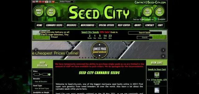 Seed City website