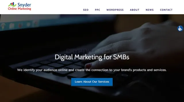 Snyder Online Marketing website