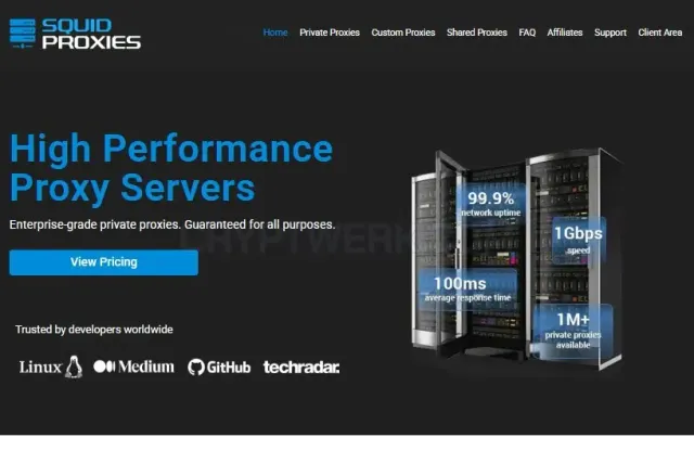 SquidProxies website