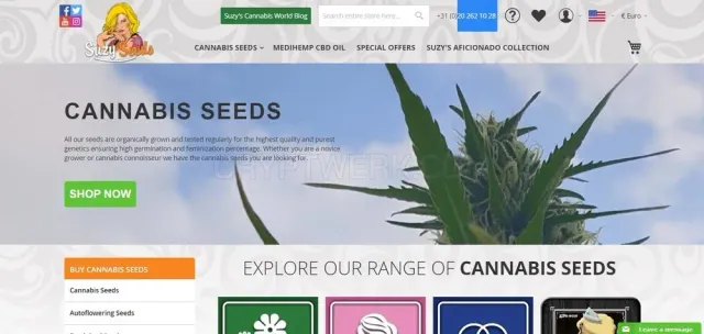 SuzySeeds website