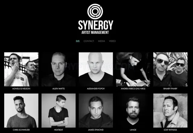 Synergy Artists website