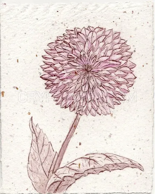 Tanpopo Fine Art website