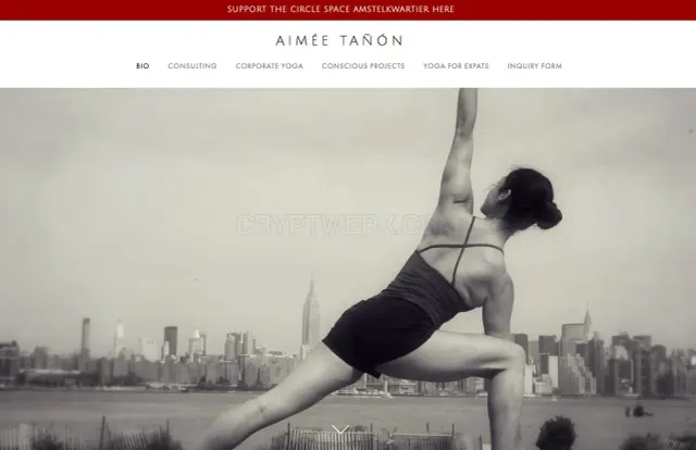 The Lifestyle Catalyst website