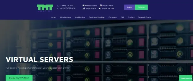 TMT Hosting website