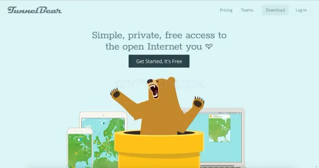 Tunnelbear.com website