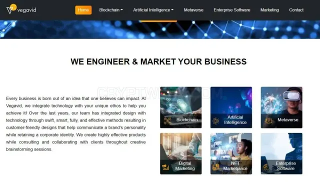 Vegavid Technology website