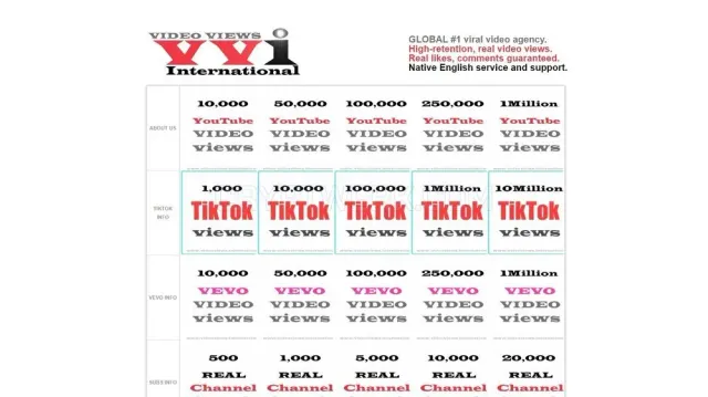 Video Views International website