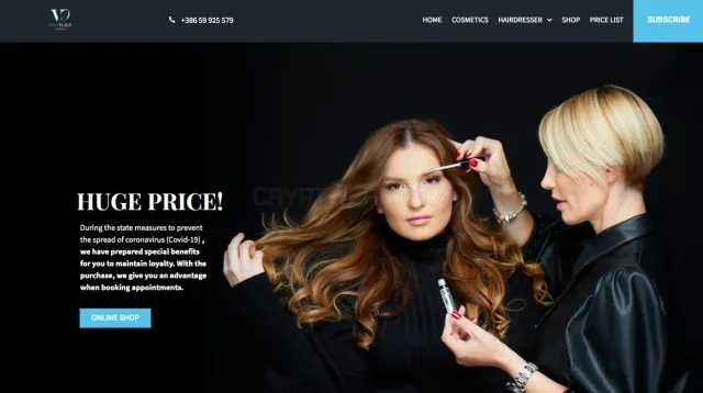 Viki's Place website