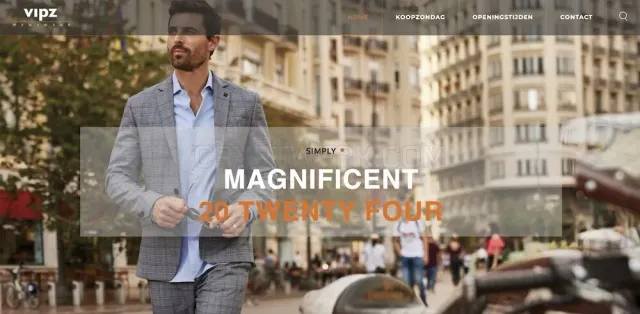 Vipz Menswear website