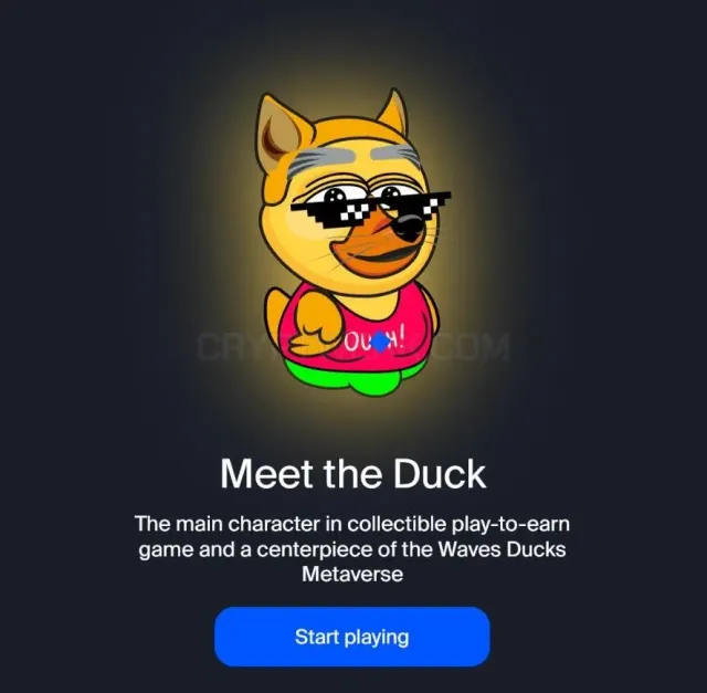 Waveducks website