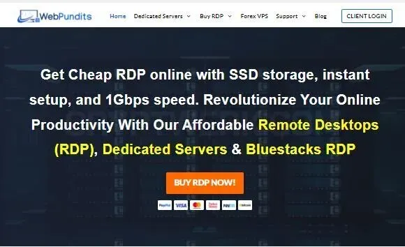 Web Pundits website