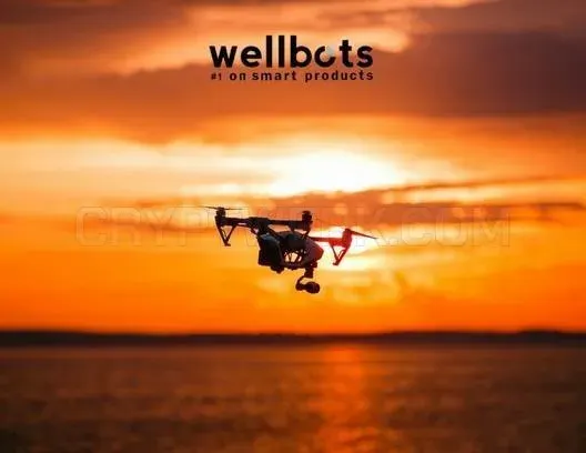 Wellbots website