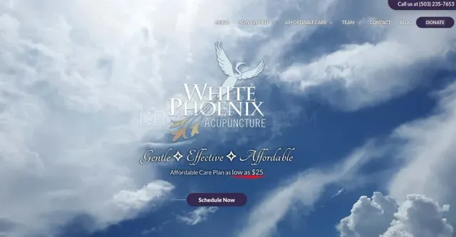 White Phoenix Acupuncture website