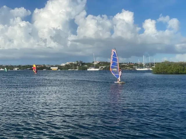 Windsurfing Curacao website