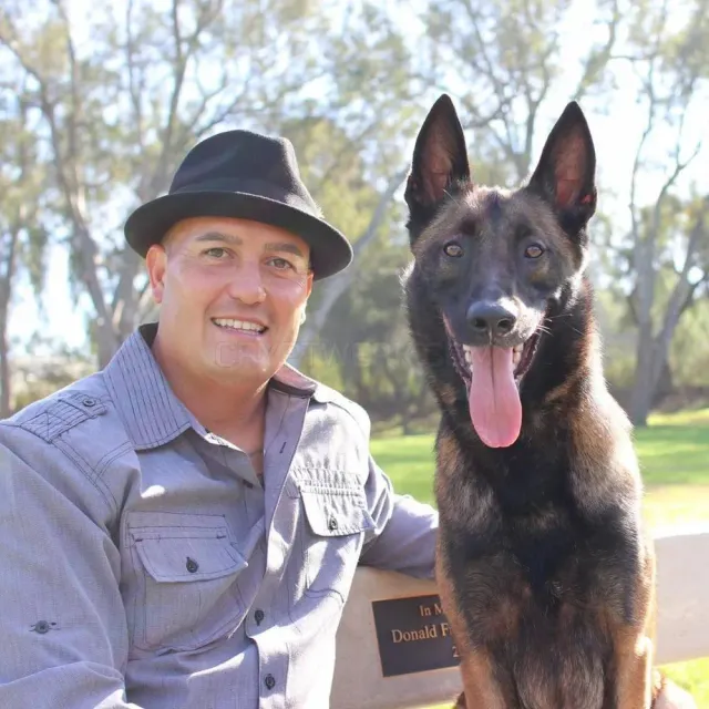 World Of Dog Training website