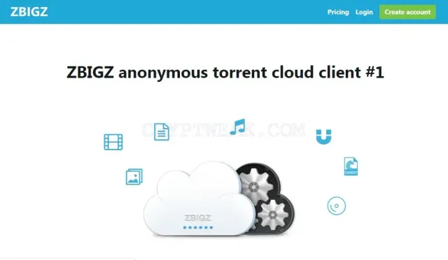 Zbigz.com website