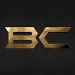 BitCars.eu logo