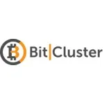 Bitcluster.ru logo