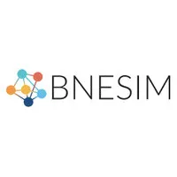BNESIM logo